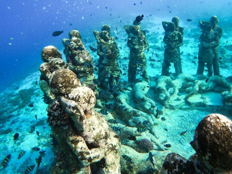 Gili Meno Underwater Statue (Bask Nest) Spot for Snorkeling